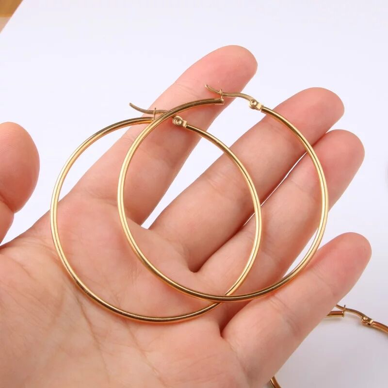 1 Pair Lady Round Plating Stainless Steel Earrings display picture 3