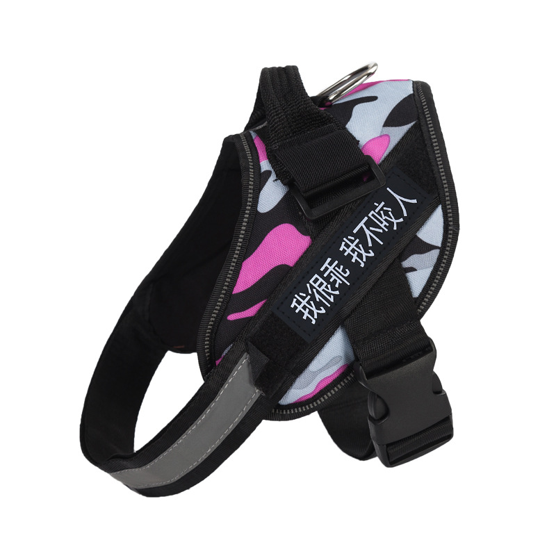 위장 로즈 레드