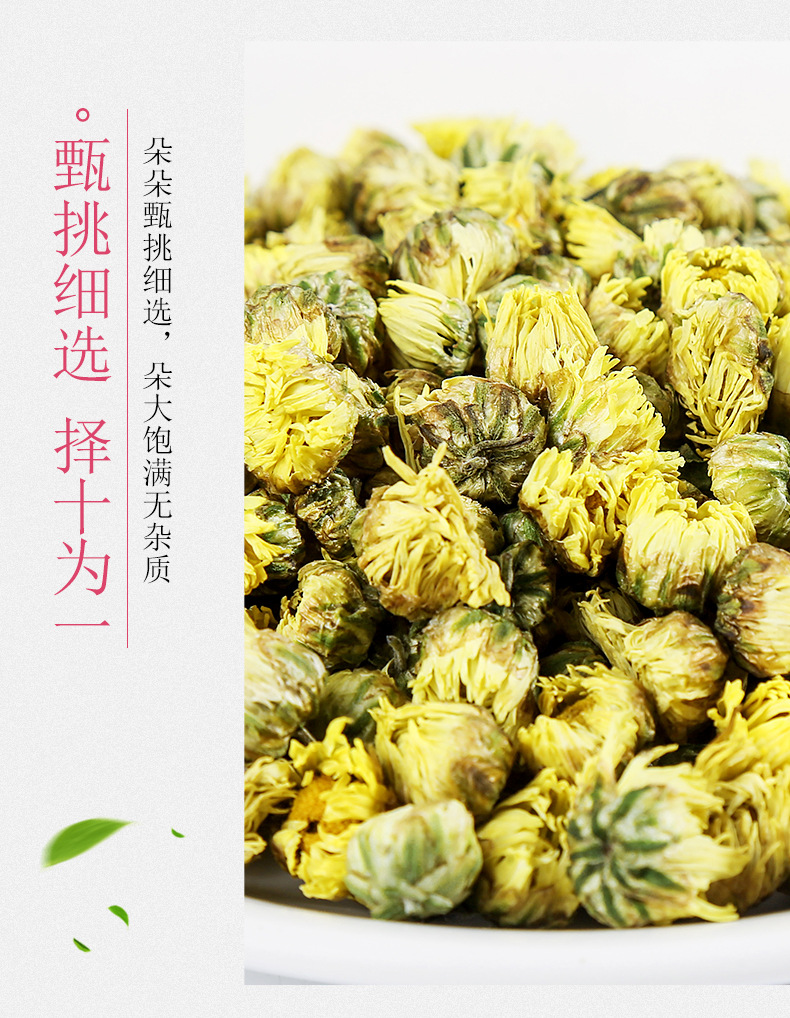 Tai Ju Chrysanthemum Buds 胎菊 Wholesale Herbal Tea First Harvest Flower Buds 500g Loose Dried Chrysanthemum Tea in use