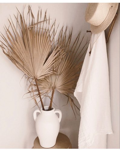ins palm leaf palm leaf dried palm leaf forest wedding decoration props shop display soft furnishings floor decorations
