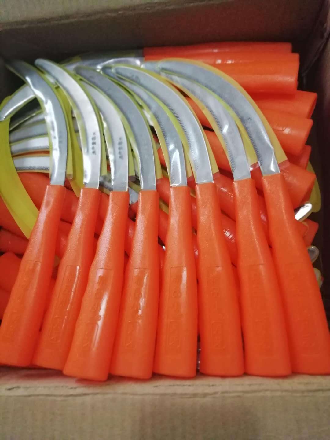 微信图片_20200425190424