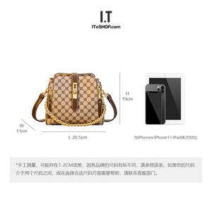 香港代购小众品牌真皮女包2020新款链条斜挎包包高级感时尚水桶包