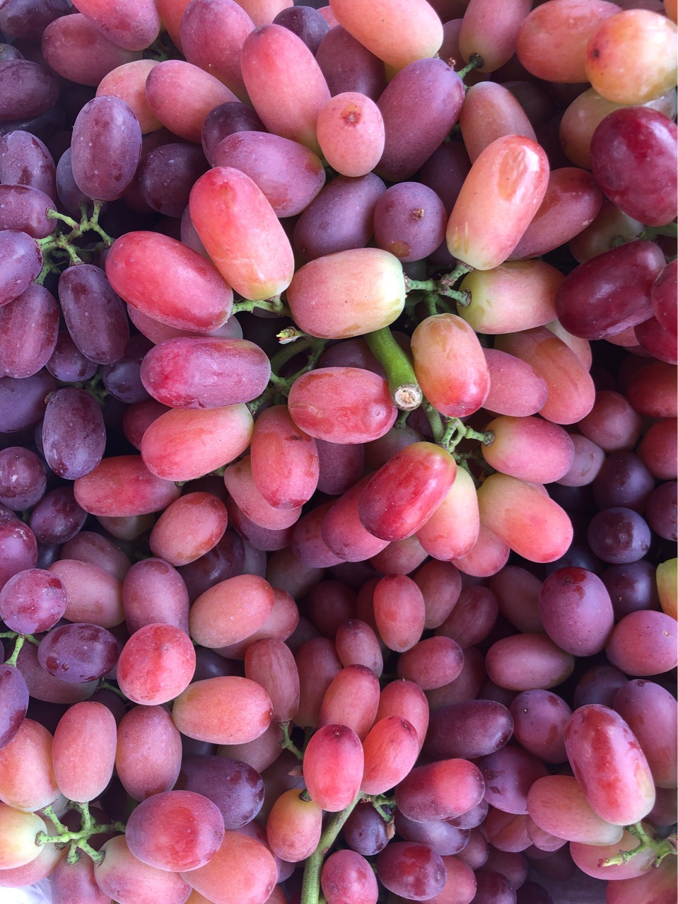 克伦生无籽红提3斤新鲜水果气柱包装提子一件代发|ms