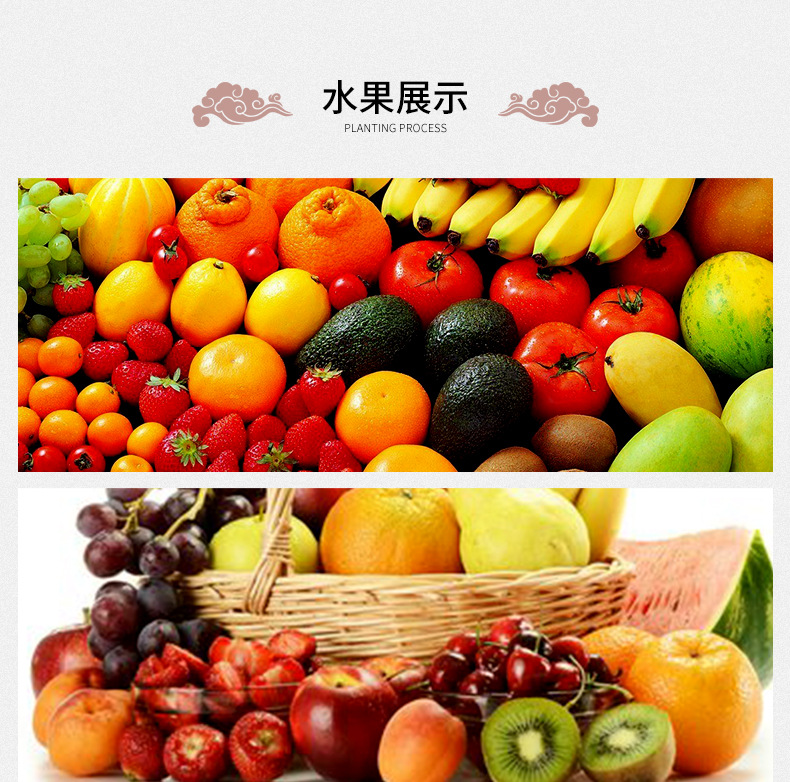 Paris Champs Elysees Fruit Tea Bulk Loose Fruit Granules Wholesale 500g preparation
