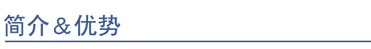 简介优势