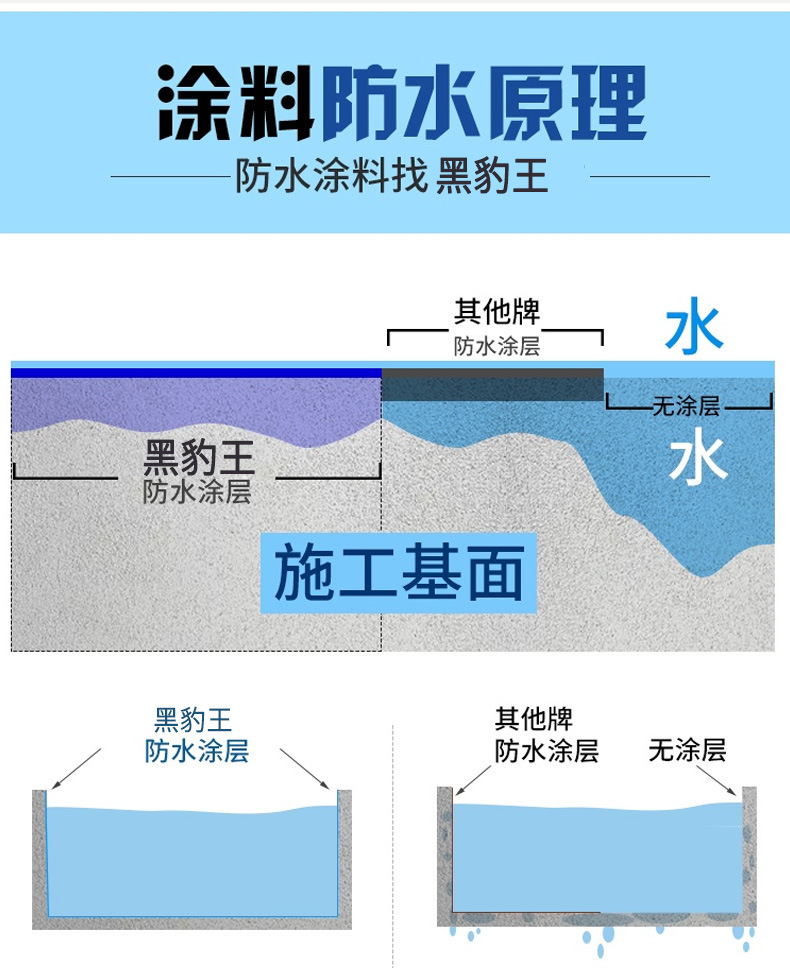 黑豹王_13