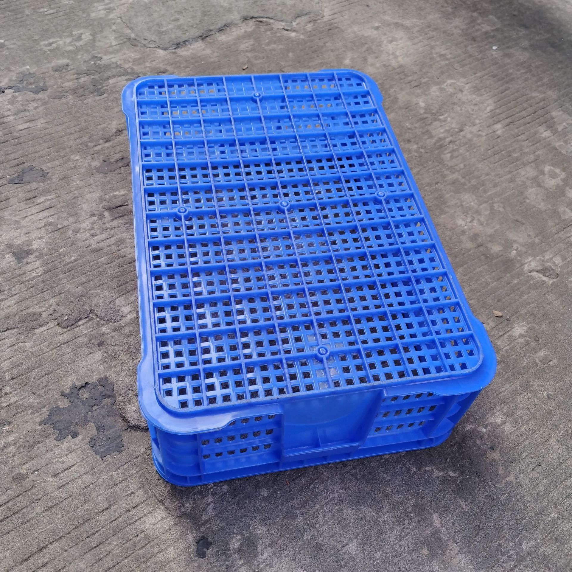 海南塑料周转水果筐 广西蔬菜胶筐610*415*180周转海产箩农业筐