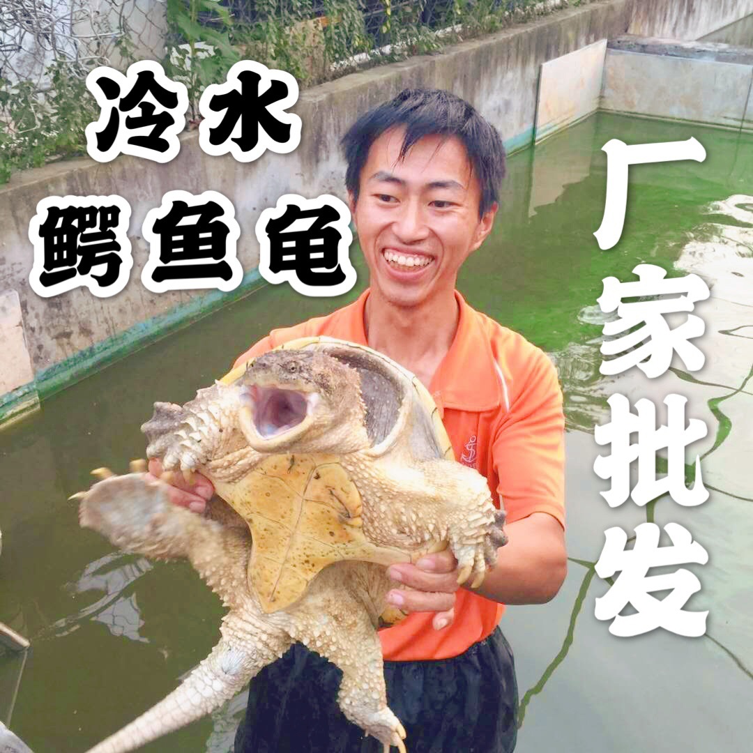 微信图片_20200222142216