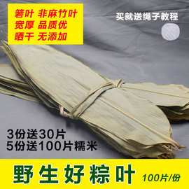 2023正宗衢州干粽叶野生大箬叶烘干家用装棕叶包邮一件代发