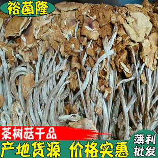 [Jurmogen] Camellia Mushroom Dry Goods Оптовые съедобные грибы Hotpot Hotpot Hotpot Hotel Tee Tree Groom Supply