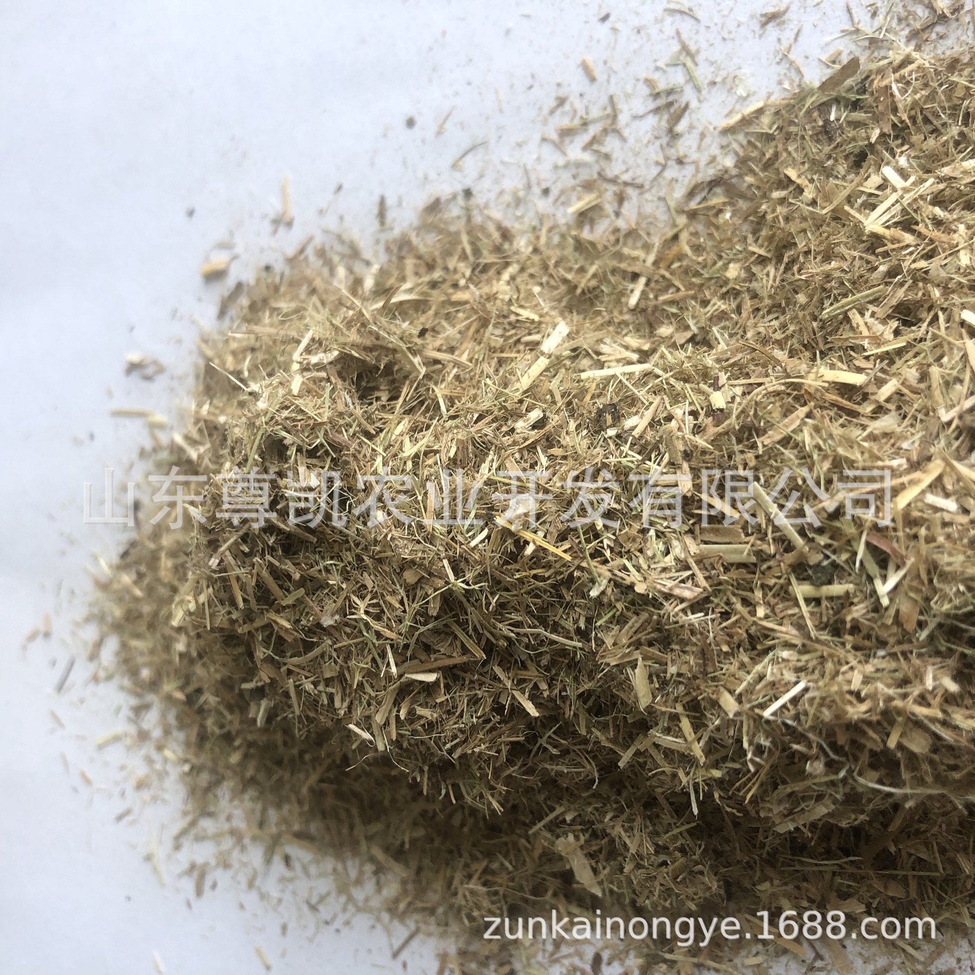 新碱草粉 羊草粉 兔料饲料原料 代替苜蓿草粉 牛马羊草粉料