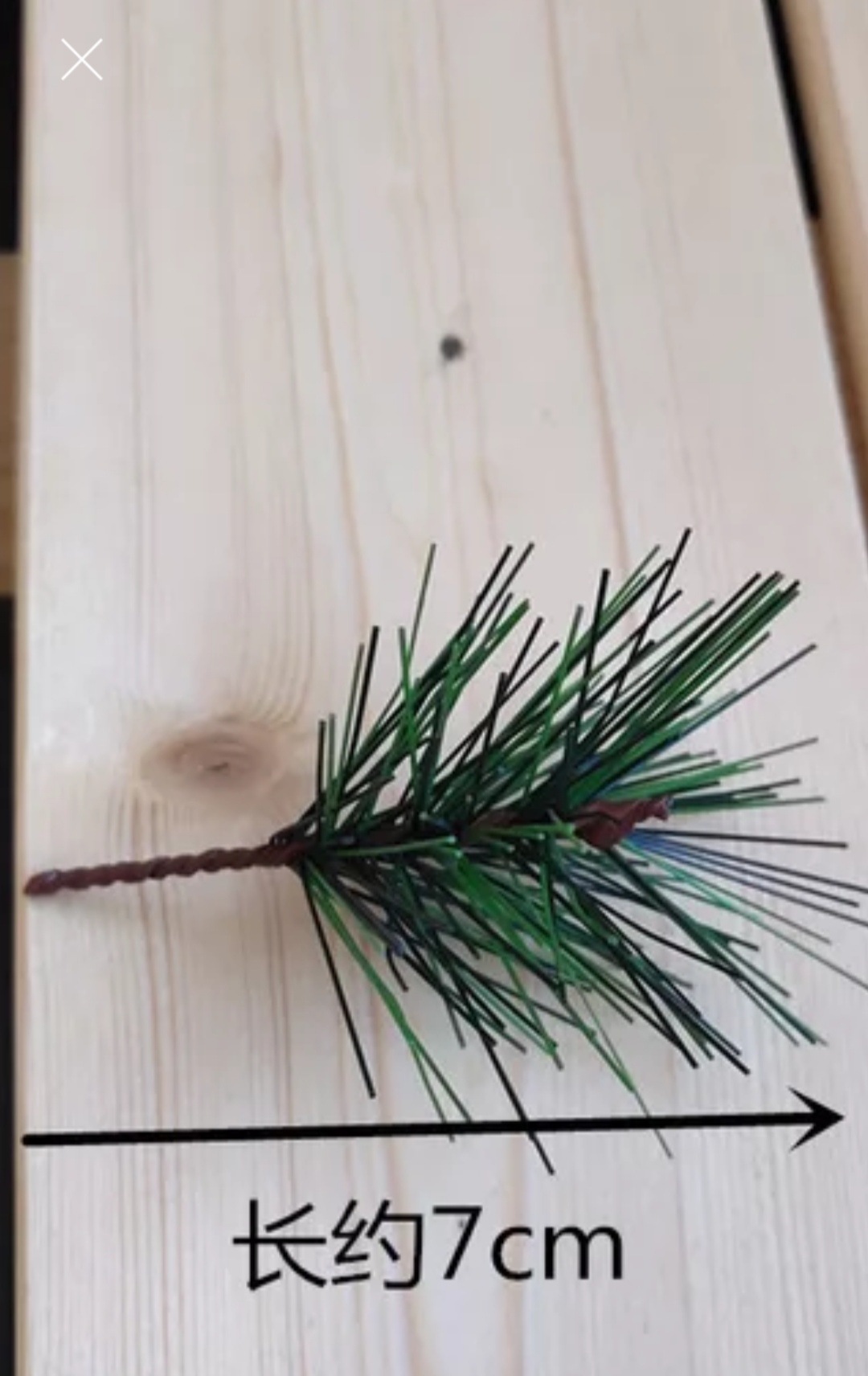 QQ图片20200814213118