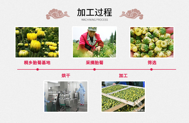 Tai Ju Chrysanthemum Buds 胎菊 Wholesale Herbal Tea First Harvest Flower Buds 500g Loose Dried Chrysanthemum Tea preparation