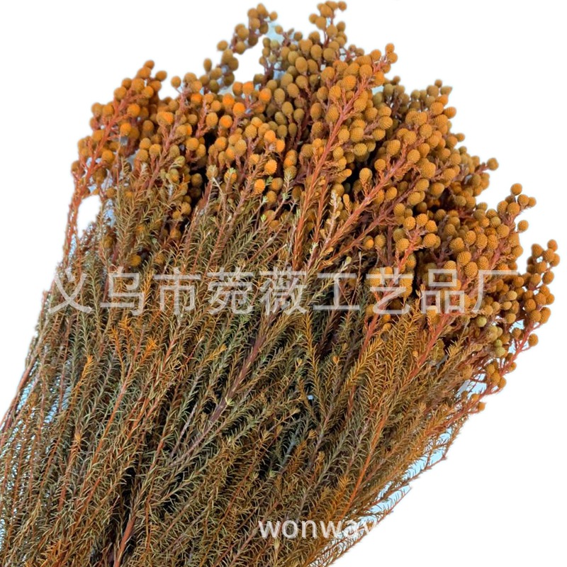 微信图片_20200323224635