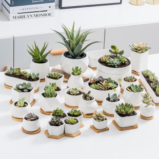 Casual Rectangular Strip Small Porcelain Pot Vase Succulent Plant Succulent Ceramic Tray Flower Pot Container