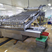 鸿辉熟虾去壳机 大虾剥壳机海虾南美白采集虾仁304全不锈钢材质