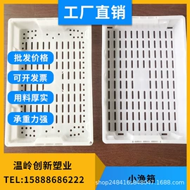 塑料箱;收纳篮/筐;果盘、果篮