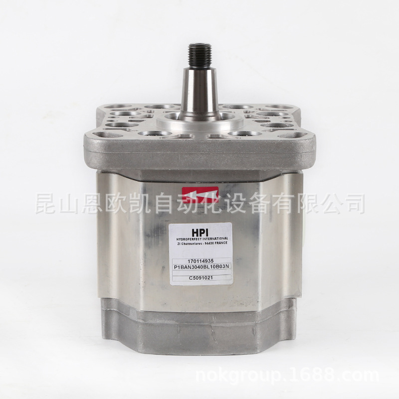 供应法国HPI齿轮泵P1BAN3040BL10B03N