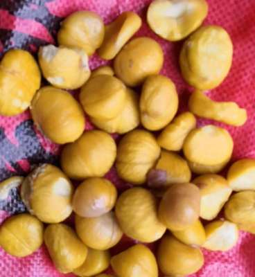wholesale fresh Chestnut Hebei Shandong Shelling Quick-freeze Chinese chestnut Gan Li Hui