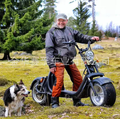 Elektrikli motosikletlər for Export, Adult Two-Wheeled Mobility