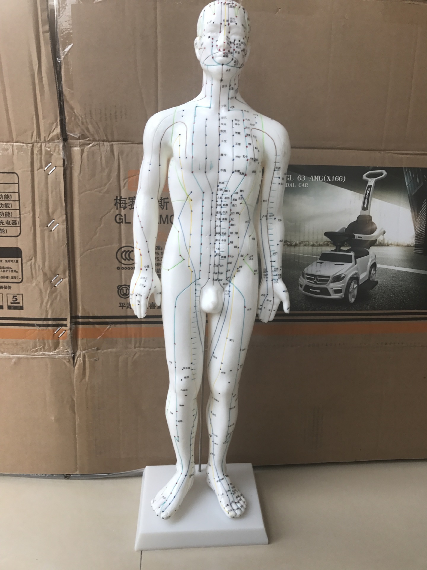 Acupuncture, 60cm