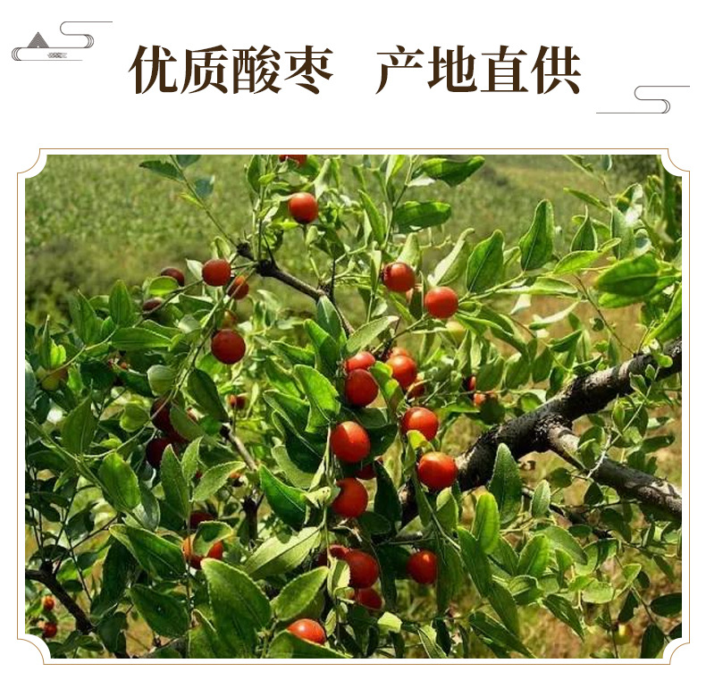 Guang Zao Dried Suan Zao Fruit 500g Traditional Chinese Herbal Ingredient for Cooking and Decoction key features