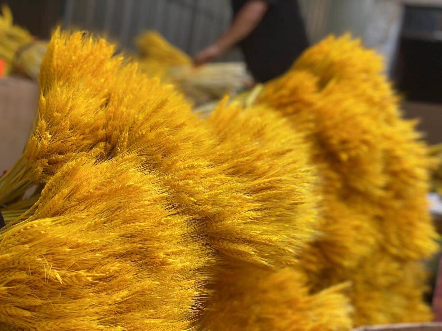 0C4055939C9BFF02A83642A5D51CB2