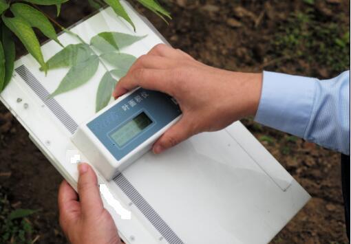 便携式叶面积仪  配件 MHY-29064