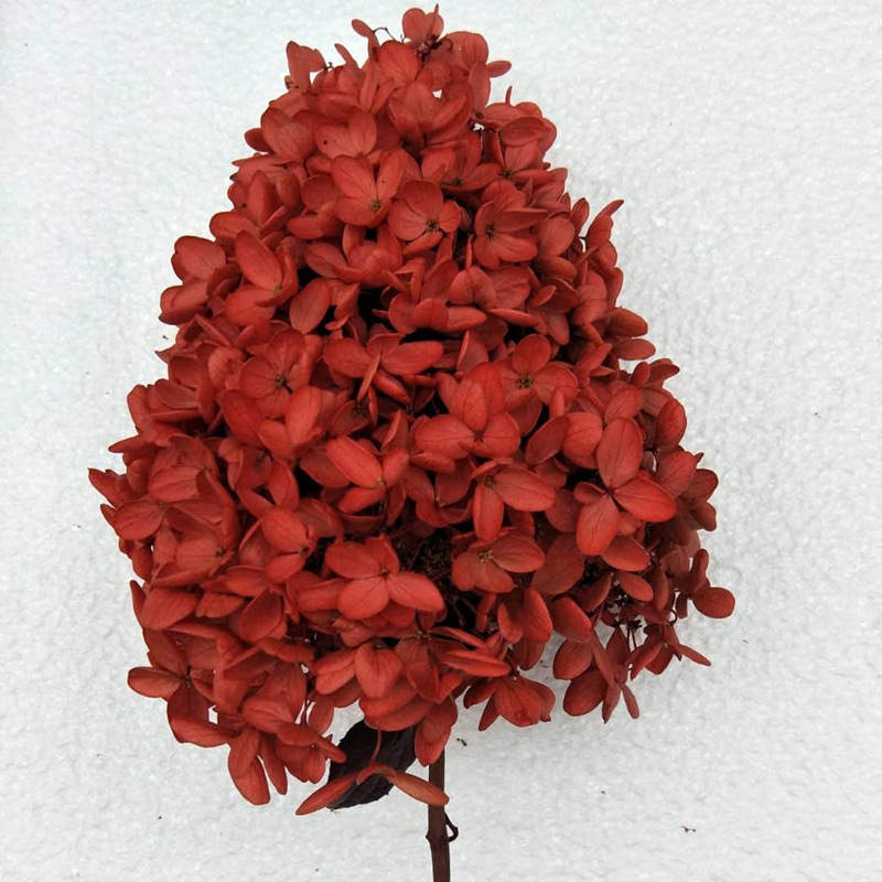 微信图片_20201018152951