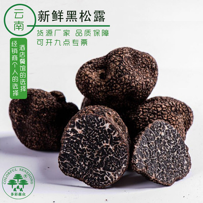 批发云南新鲜黑鲜松露猪拱菌块菌松露茶白色全黑芯产地直销|ms