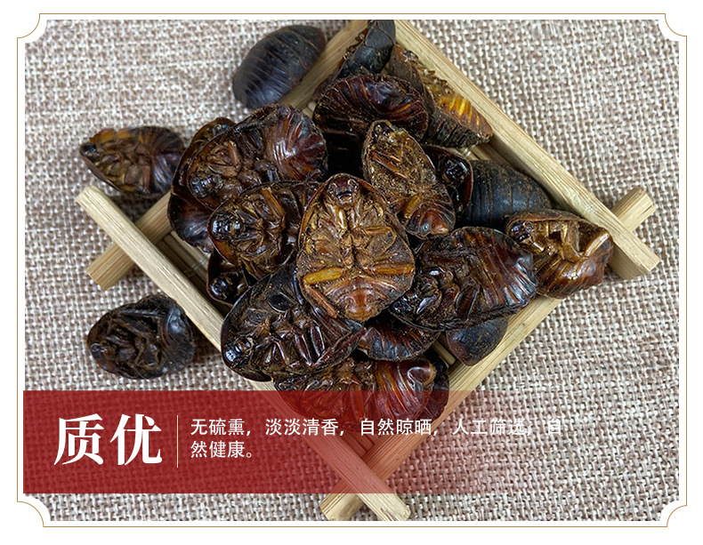Dried Ground Beetle Tu Bie Chong Whole Insect Traditional Chinese Herb 1 Jin 500g Bulk Pack quality and texture