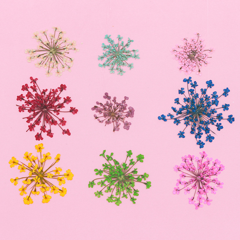 O1CN01ZV5Gbe2ISa1holUI0_!!2201