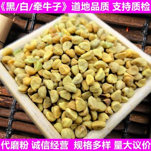 ���l���N��ţ����؛�׳�ڳ��r�aƷ���|�z�ڰנ�ţ�Ѷ�����|�z