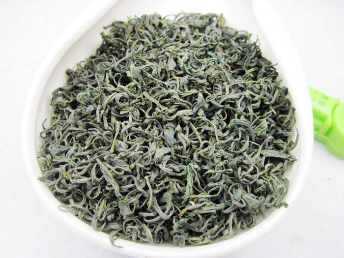 崂山绿茶新茶 豆香 崂百姓崂山茶500g 茶叶山东青岛