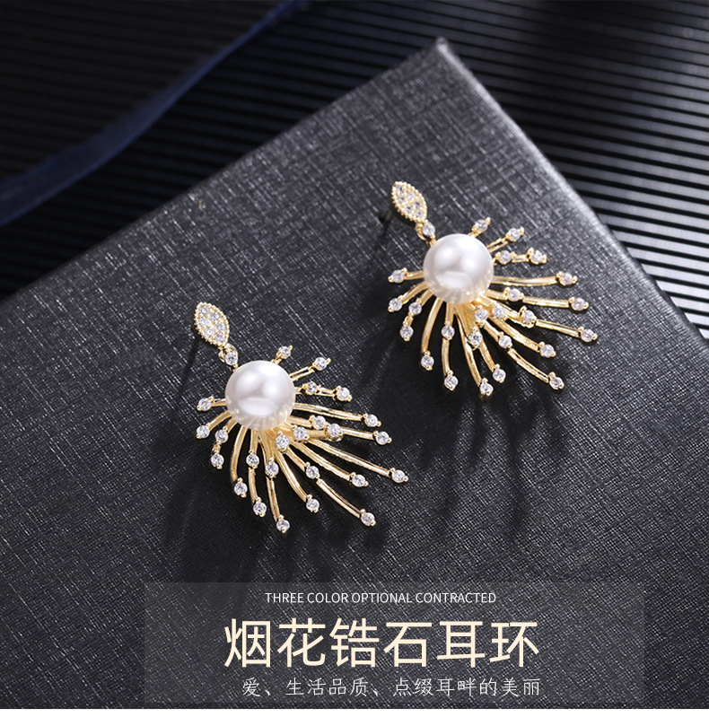 Boucles D&#39;oreilles Boucles D&#39;oreilles Coréennes Premium Sense Feu D&#39;artifice Boucles D&#39;oreilles 925 Aiguille En Argent Sterling Zircon Nouvelle Vague En Gros Nihaojewelry display picture 16