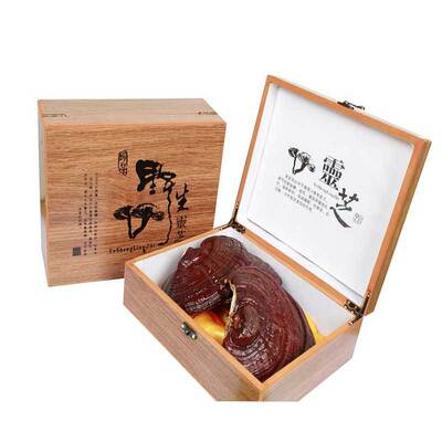 涪豪批发长白山灵芝250g礼盒装椴木灵芝可切片打粉泡酒代发灵芝