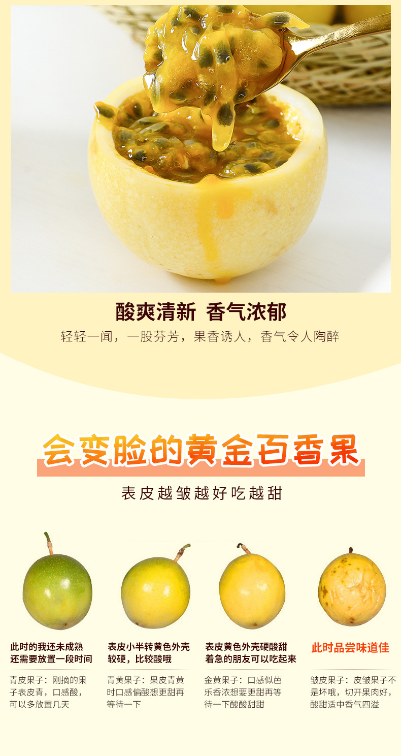 黄金百香果(1)_06