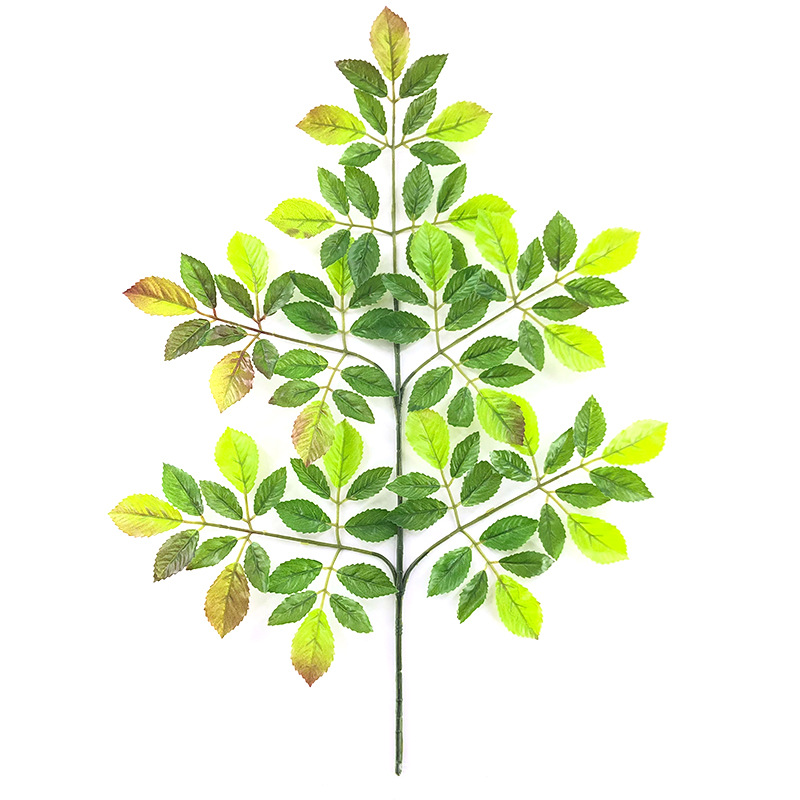 XRB-110 榆树叶五叉枝 (6).jpg