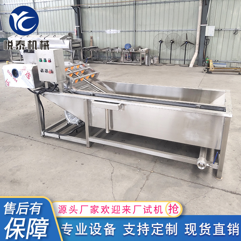 海鲜清洗机 鱿鱼须气泡清洗机 不锈钢果蔬清洗设备 厂家供应