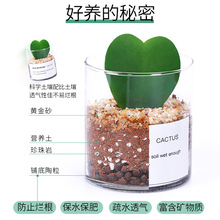 �����ƿɐ��҃ȷ�ݗ�������_��ֲ�����������������������С�Gֲ