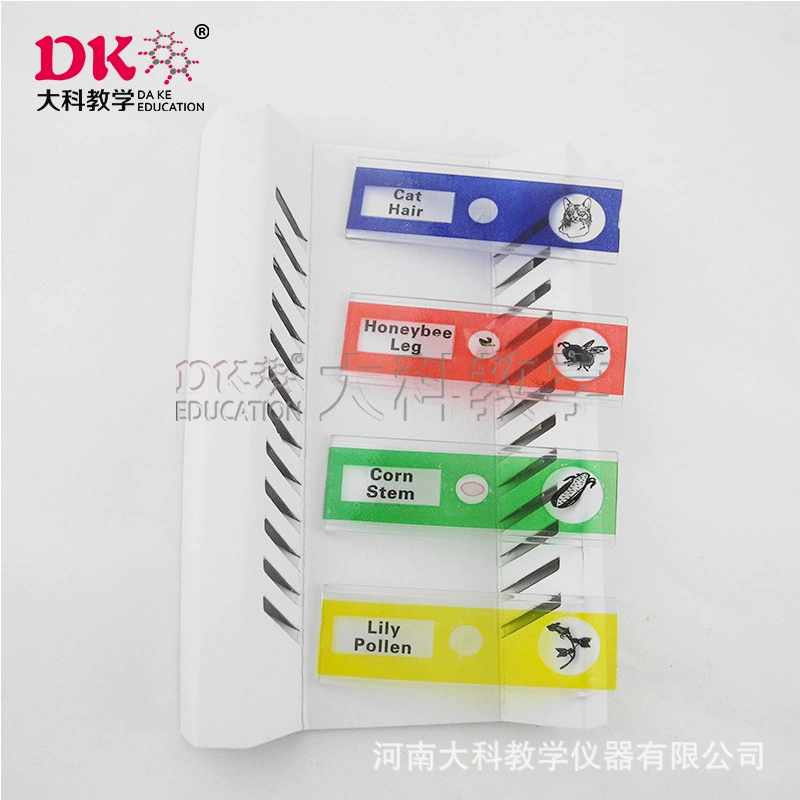 Пр direct science teaching manufacturer direct selling micro -glass onion epidermis tablets plastic biological slices
