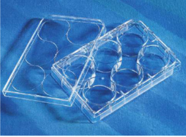 3471Corning康宁6孔细胞培养板超低吸附微孔板带盖无菌无酶无热源