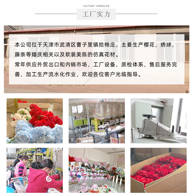 四叉飘雪_16.jpg