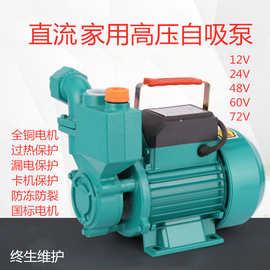 WZB直流自吸泵12V24V48V直流抽水泵高压小型家用冷热水管道增压泵