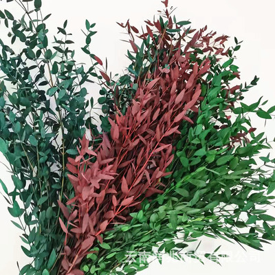 永生细叶尤加利叶美叶桉120克每束厂家批发家居软装花束用花材|ru