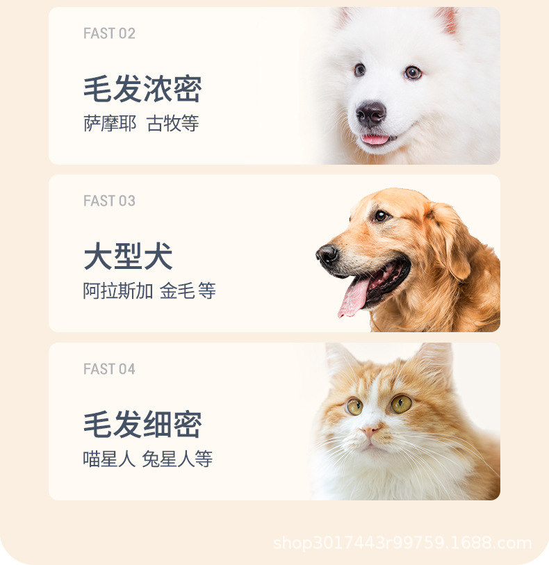 萌贝拉-金色-宠物-详情页-1-喵犬记_04.jpg