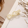 Hair accessory from pearl, set, hairgrip, internet celebrity, Korean style
