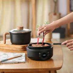 US standard 110V electric cooking pot multi-functional household student dormitory cooking noodles small electric pot electric stir-fry split pot electric hot pot