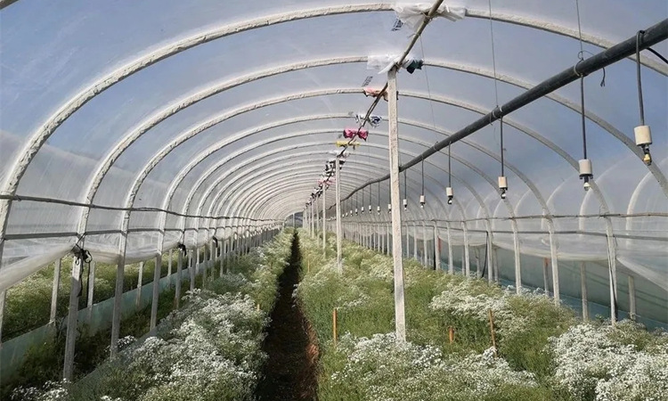 种植基地1-1.jpg
