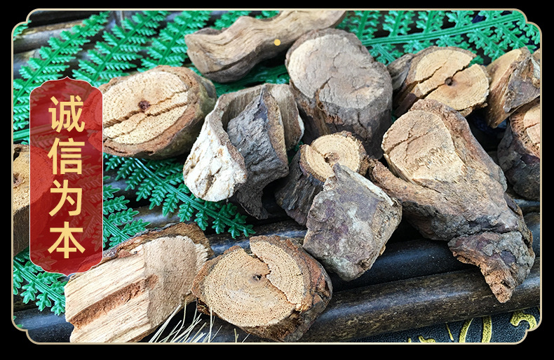 Dried Kadsura Root Hei Lao Hu 黑老虎 Whole Root Pieces Traditional TCM Herb 500g in use
